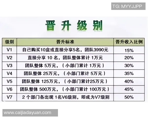 北京篮球队团队协作新模式探讨与热议引发的变革思考