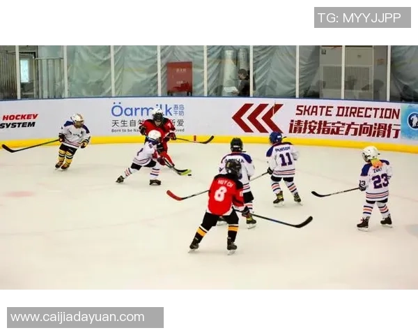 海豹式足球的魅力与技巧探讨如何提升团队协作与竞技水平