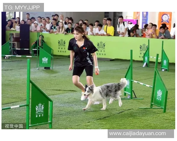 狗狗足球品牌的崛起与发展探索如何为宠物运动带来新风尚与活力